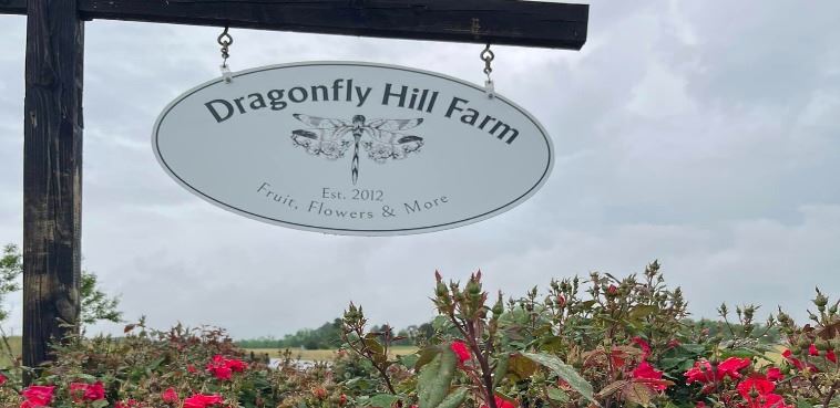 344928767_245242721482716_6191263858642586196_n