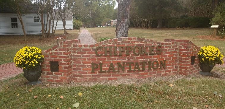 IMG_20191006_155443266_BURST000_COVER